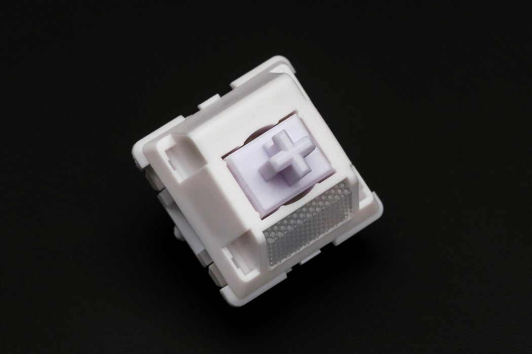 WS Morandi Switches