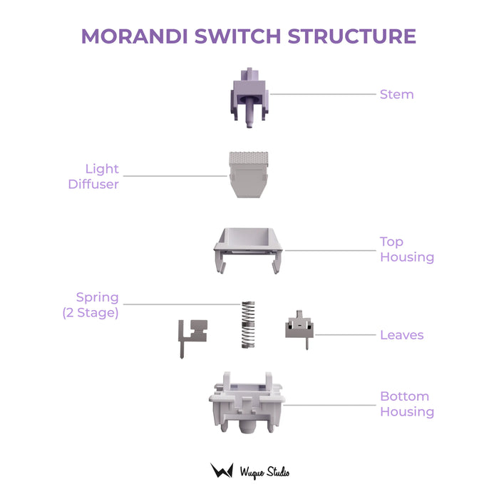 WS Morandi Switches