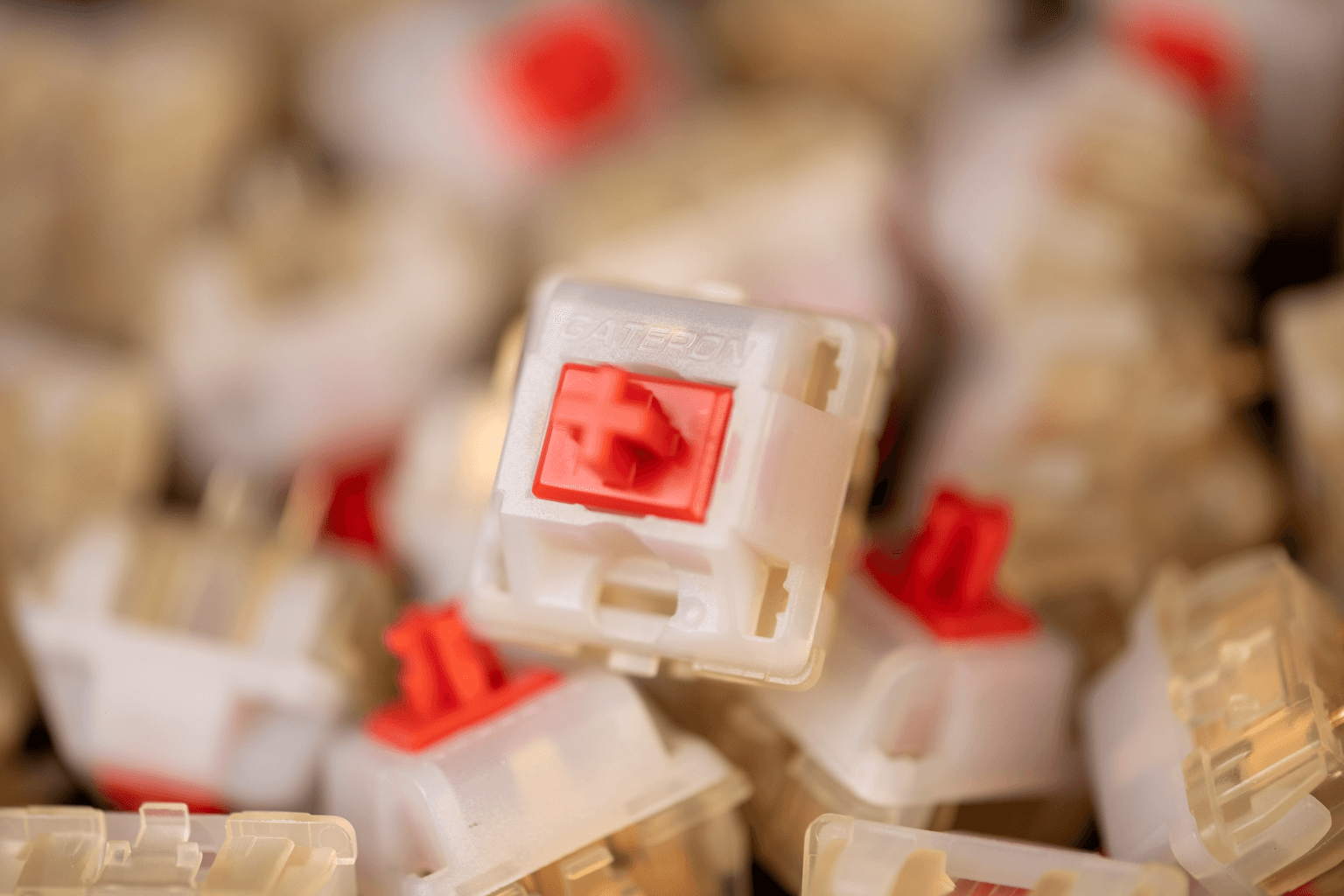 Gateron Cream Soda Switches — RNDKBD